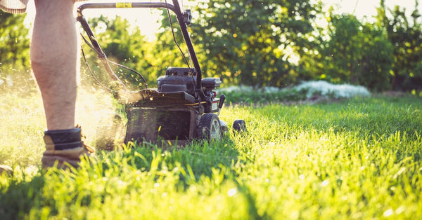 Secrets For Getting The Best Lawn On The Block