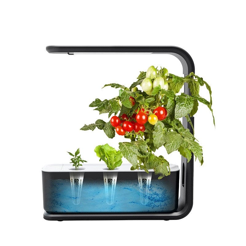 Indoor Plant Planter Vegetable Planter Hydroponic Smart