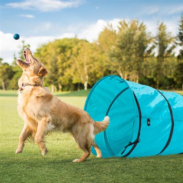 18' Agility Training Tunnel Pet Dog Play Outdoor Obedience Exercise