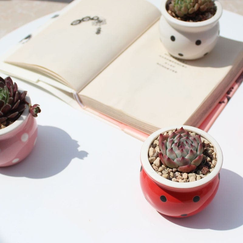 Succulent Flower Pot Ceramic Flower Pot