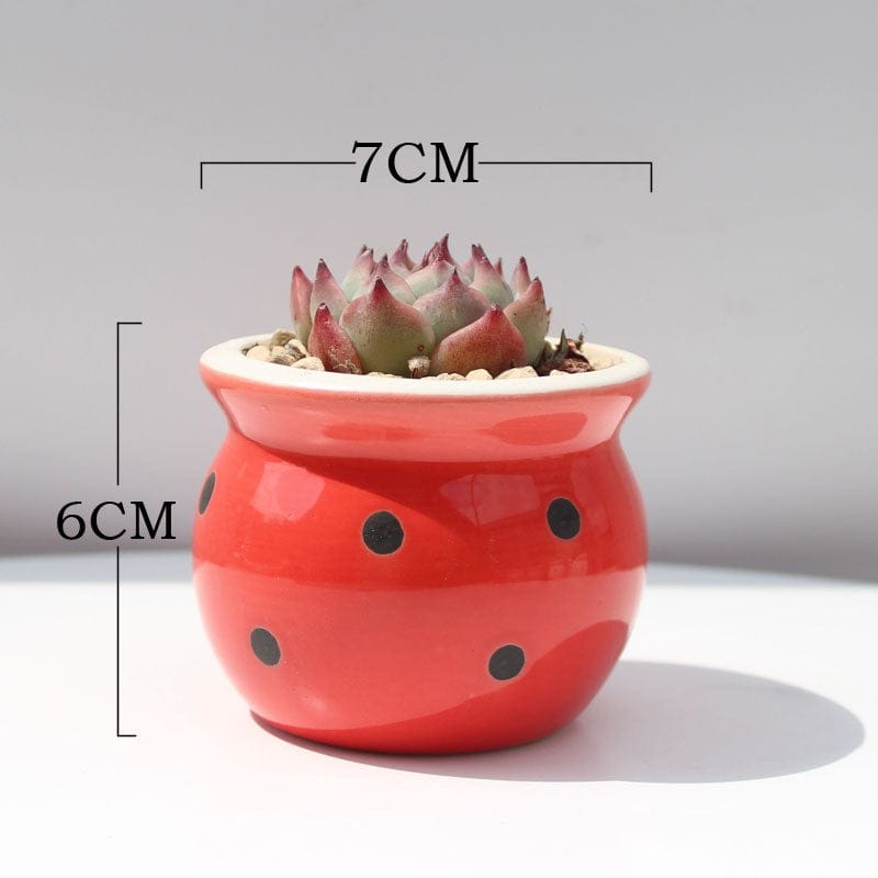 Red basin black Succulent Flower Pot Ceramic Flower Pot Thumb Pot