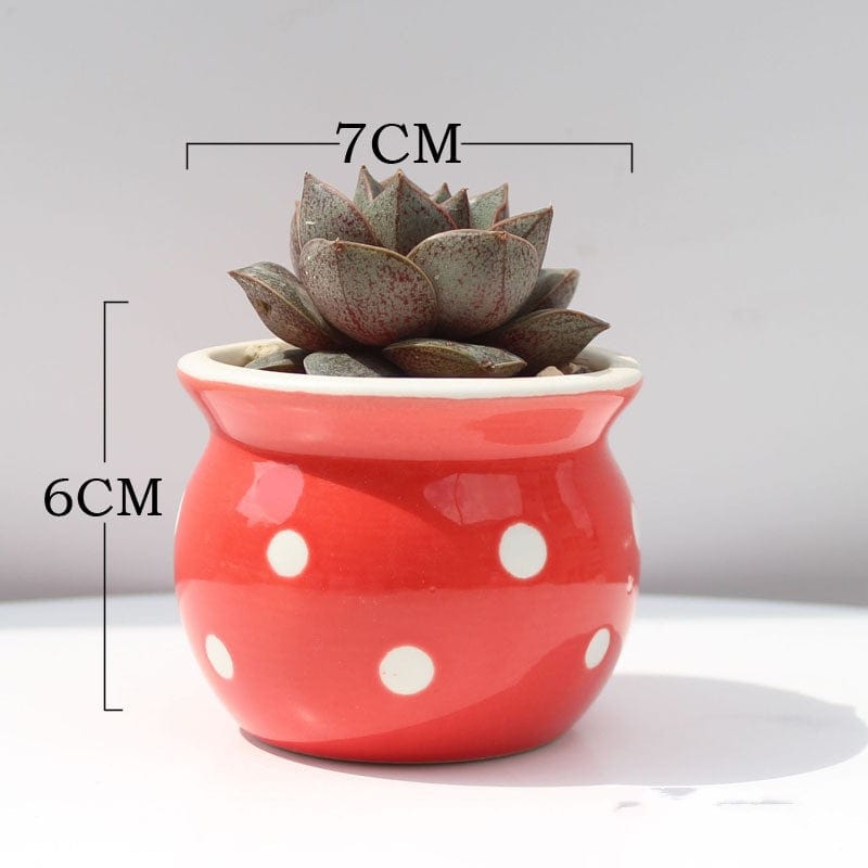 Red basin white Succulent Flower Pot Ceramic Flower Pot Thumb Pot