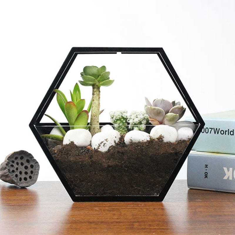 Black / L Wall-mounted flower pot