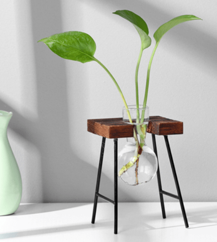 B1 Glass Wood Vase Table Desktop Hydroponics Plant Stationery Pot