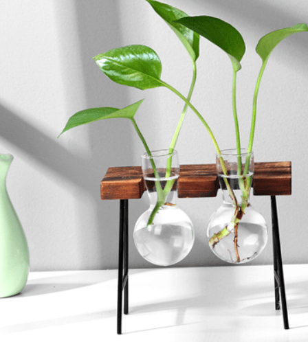 B2 Glass Wood Vase Table Desktop Hydroponics Plant Stationery Pot